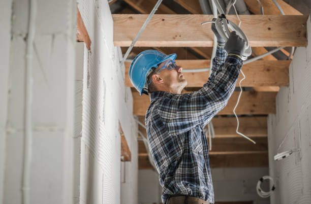 Best Electrician for Home Renovation  in Carrollton, GA